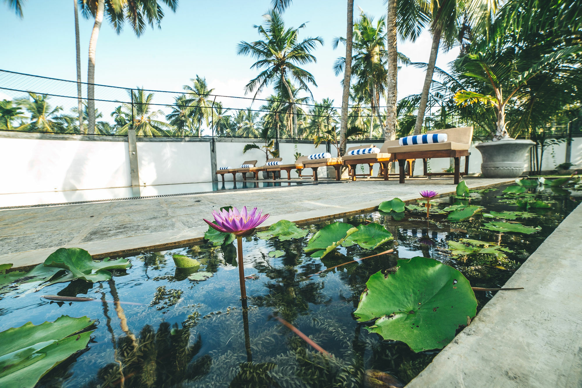 Sisikirana Villa  Unawatuna Esterno foto